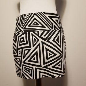 Express Skirt